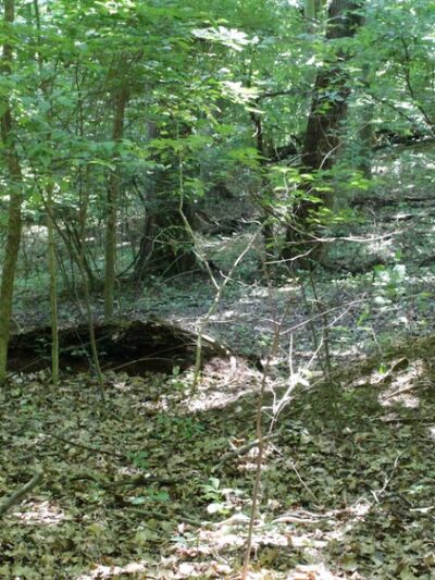 Gwynns Falls Park - Gwynn Oak, MD