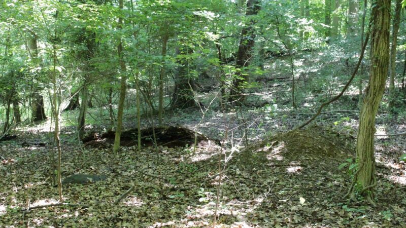 Gwynns Falls Park - Gwynn Oak, MD