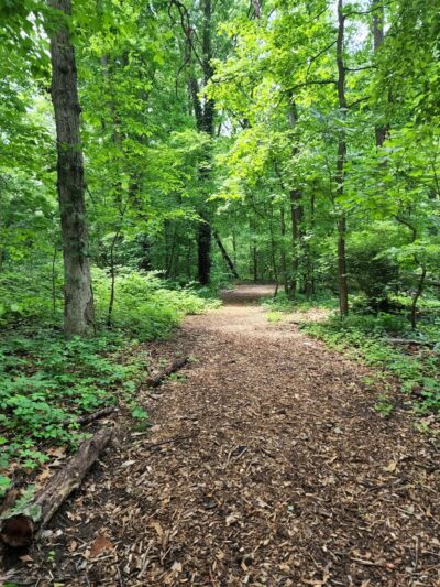 Haddon Heights Park - Haddon Heights, NJ