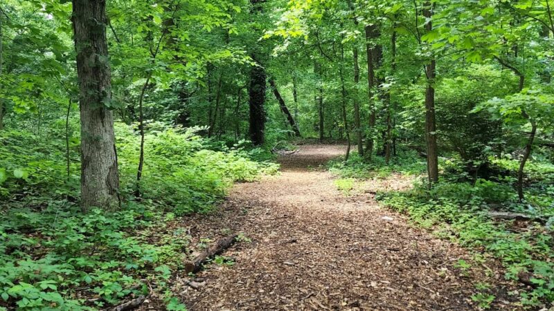 Haddon Heights Park - Haddon Heights, NJ