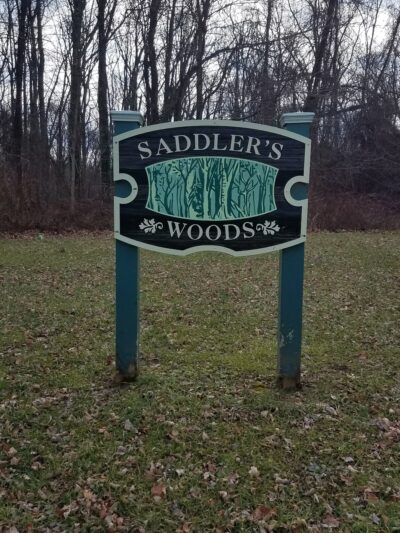 Saddler's Woods Conservation Association - Haddon Township, NJ