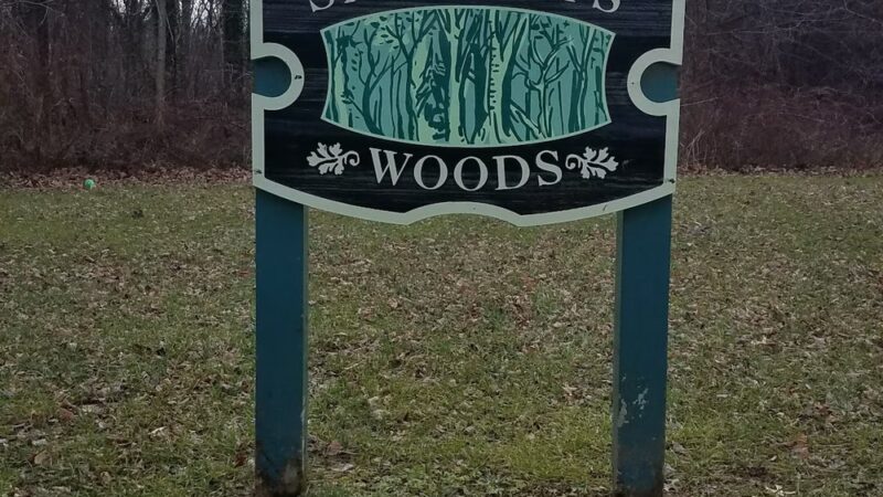 Saddler's Woods Conservation Association - Haddon Township, NJ