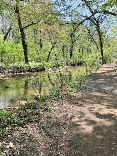 Cooper River Park - Haddonfield, NJ
