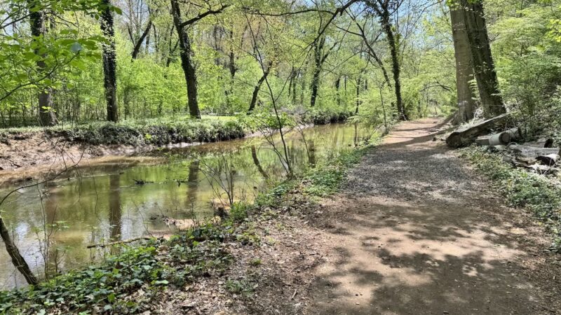 Cooper River Park - Haddonfield, NJ