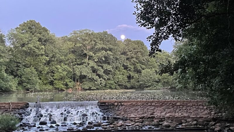 Cooper River Park - Haddonfield, NJ