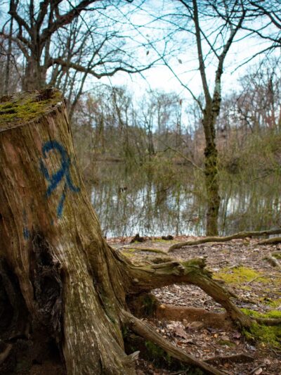 Cooper River Park - Haddonfield, NJ