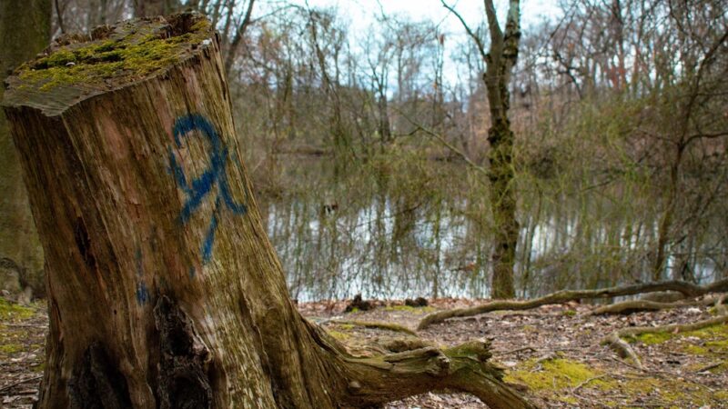 Cooper River Park - Haddonfield, NJ