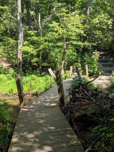 Crows Woods Trails - Haddonfield, NJ