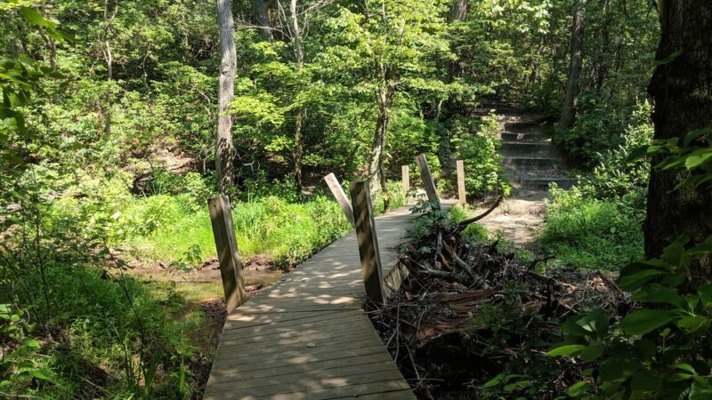 Crows Woods Trails - Haddonfield, NJ