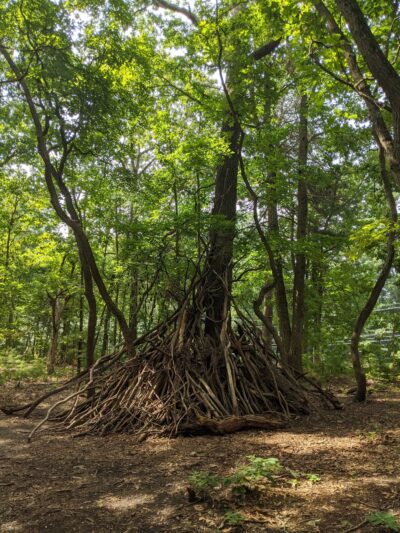 Crows Woods Trails - Haddonfield, NJ