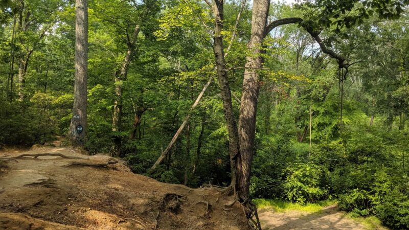 Crows Woods Trails - Haddonfield, NJ