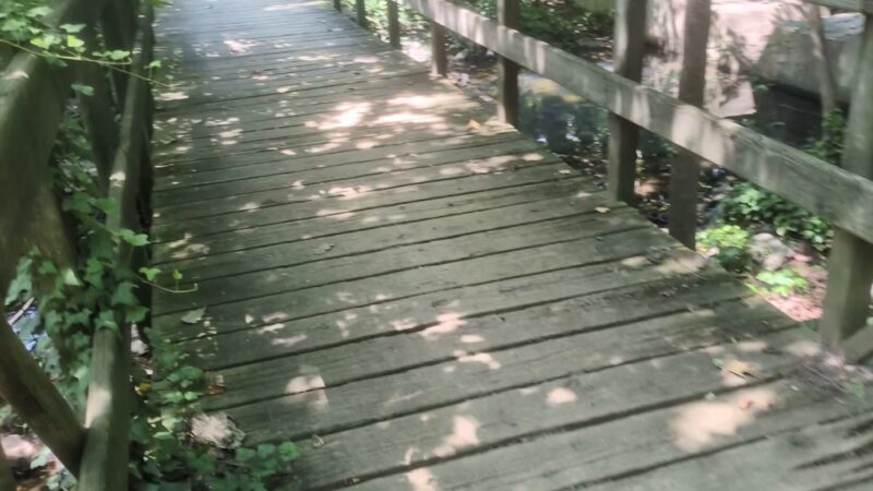 Maria Barnaby Greenwald Memorial - Haddonfield, NJ