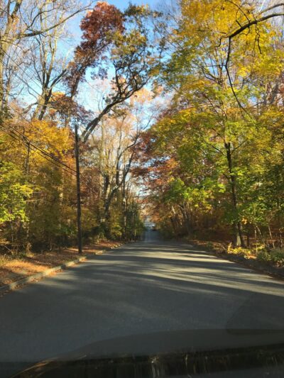 Mountwell Park - Haddonfield, NJ