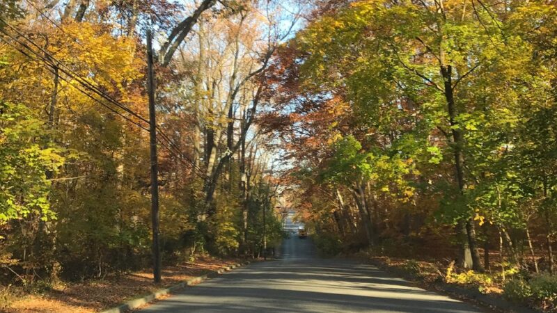 Mountwell Park - Haddonfield, NJ