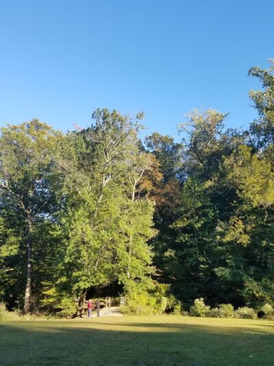 Pennypacker Park - Haddonfield, NJ