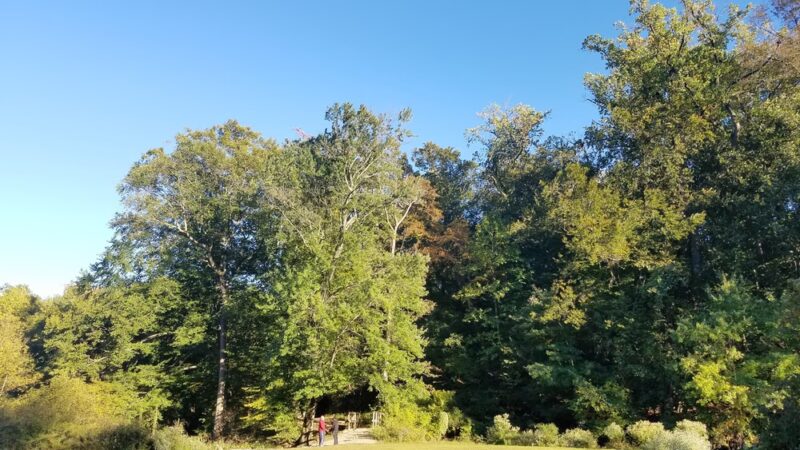 Pennypacker Park - Haddonfield, NJ