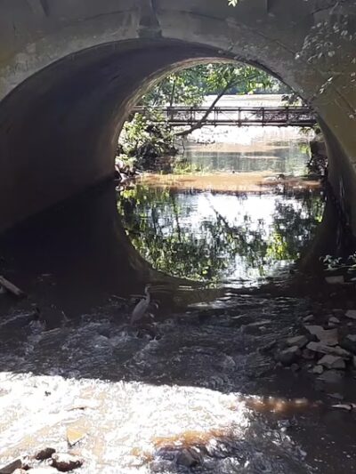 Pennypacker Park - Haddonfield, NJ