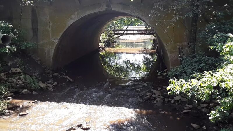 Pennypacker Park - Haddonfield, NJ
