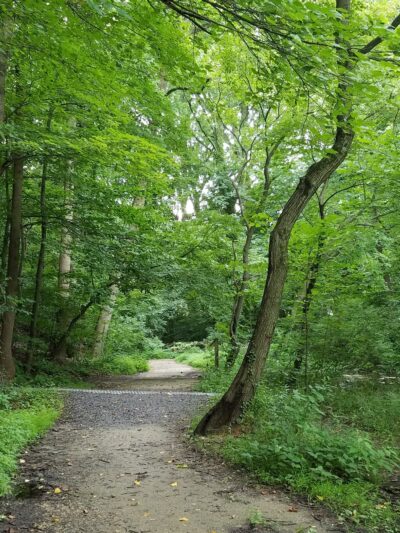 Pennypacker Park - Haddonfield, NJ