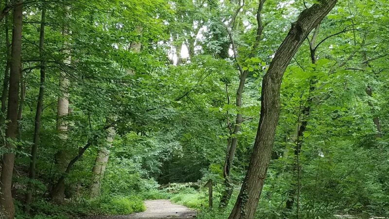 Pennypacker Park - Haddonfield, NJ