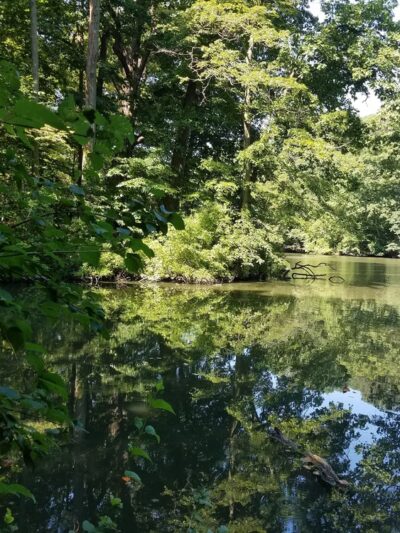 Pennypacker Park - Haddonfield, NJ