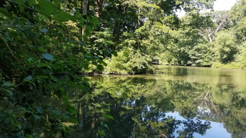 Pennypacker Park - Haddonfield, NJ