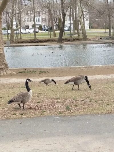 Pangborn Park - Hagerstown, MD