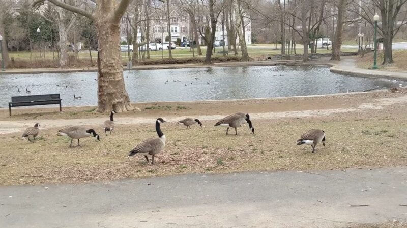 Pangborn Park - Hagerstown, MD