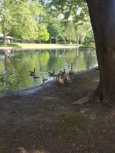 Pangborn Park - Hagerstown, MD
