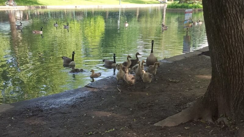 Pangborn Park - Hagerstown, MD