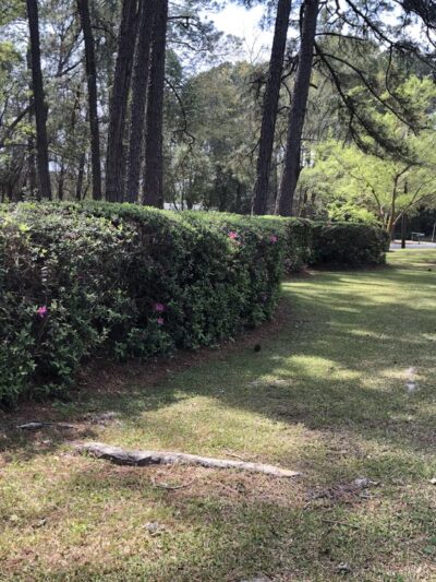 Boone Triangle Park of Hahira - Hahira, GA