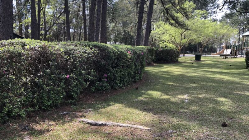 Boone Triangle Park of Hahira - Hahira, GA