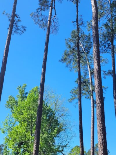 Hahira City Park - Hahira, GA