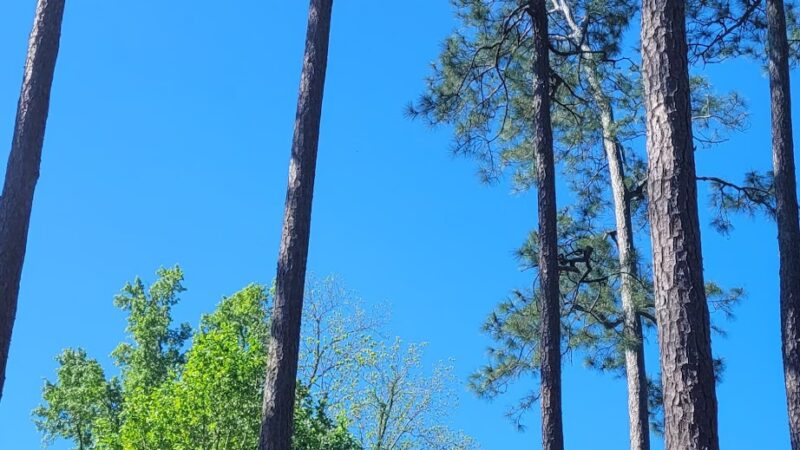 Hahira City Park - Hahira, GA