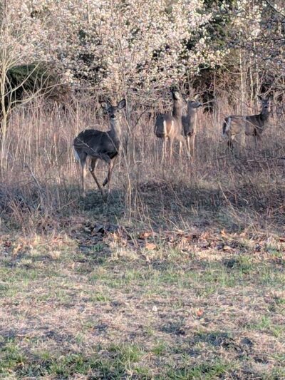 Hainesport Township Municipal Park - Hainesport, NJ