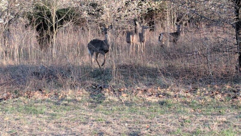 Hainesport Township Municipal Park - Hainesport, NJ