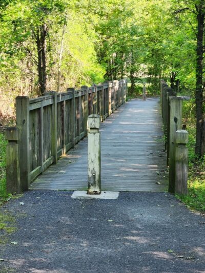 Hainesport Township Municipal Park - Hainesport, NJ