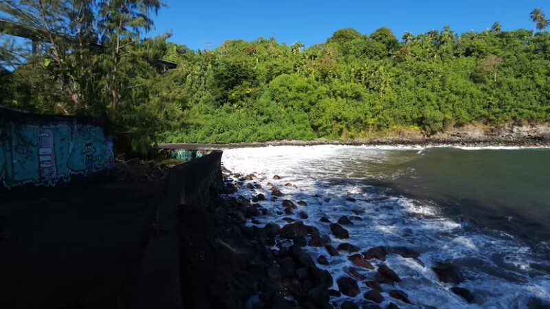 Hakalau Beach Park - Hakalau, HI