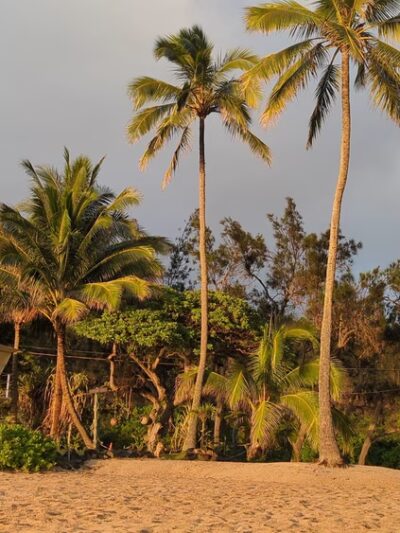 Waimea Bay Beach Park - Haleiwa, HI