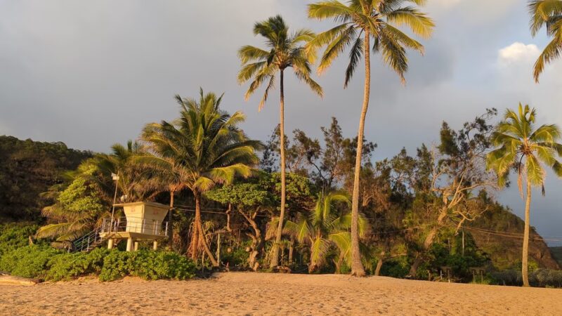 Waimea Bay Beach Park - Haleiwa, HI