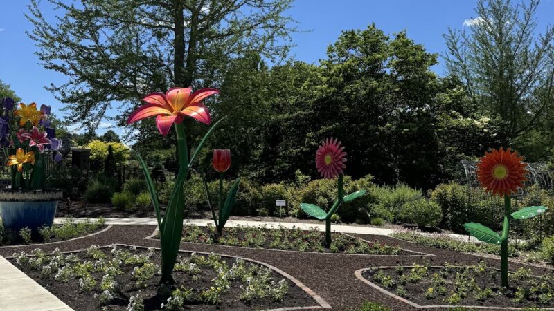 Margie's Garden - Hales Corners, WI