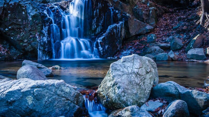 Patapsco Valley State Park - Avalon Area - Halethorpe, MD