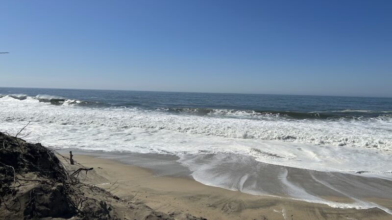 Half Moon Bay Beach - Half Moon Bay, CA