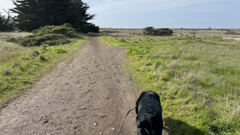 Half Moon Bay Dog Park - Half Moon Bay, CA