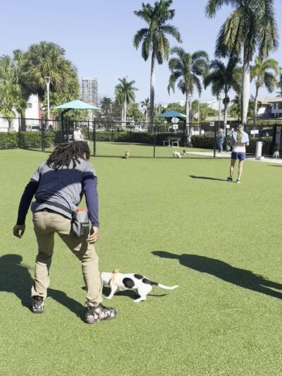 Golden Isles Park - Hallandale Beach, FL