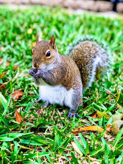 Joseph Scavo Park - Hallandale Beach, FL