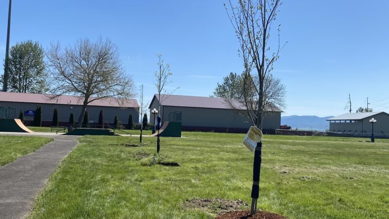 Halsey Memorial Park - Halsey, OR