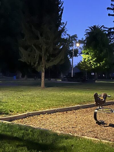 Hamilton City Park - Hamilton City, CA