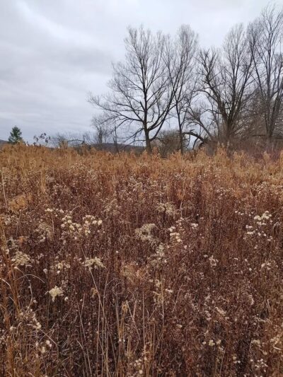 The Gateway Reserve - Hamilton, NY