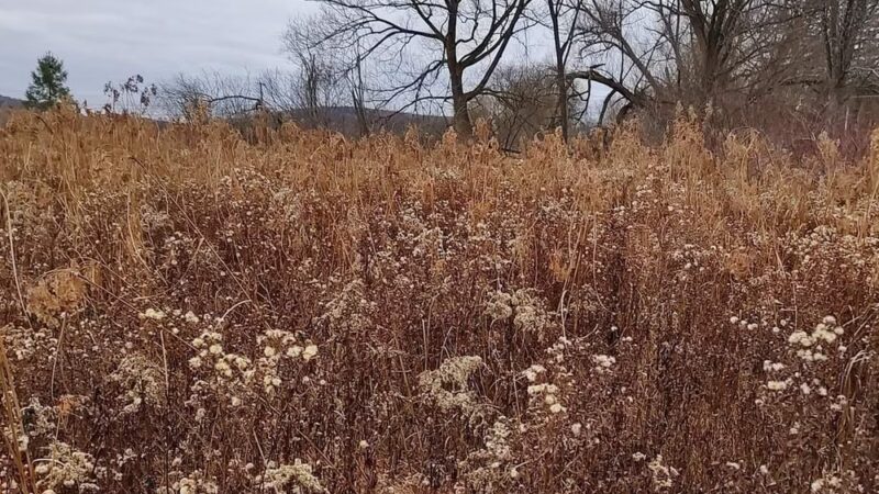 The Gateway Reserve - Hamilton, NY